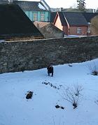 IMG_0637