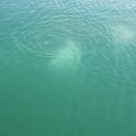 IMG_5614