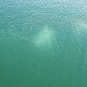 IMG_5615