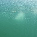 IMG_5616