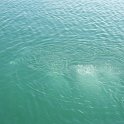 IMG_5617
